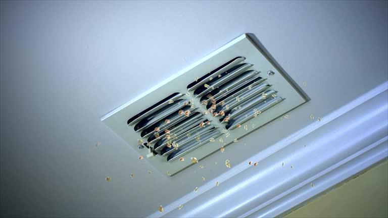 Best Best Air Duct Cleaning Company  in Hillsboro, TX